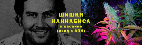 молекула духа Аркадак