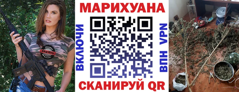 Бошки марихуана сатива  Няндома 